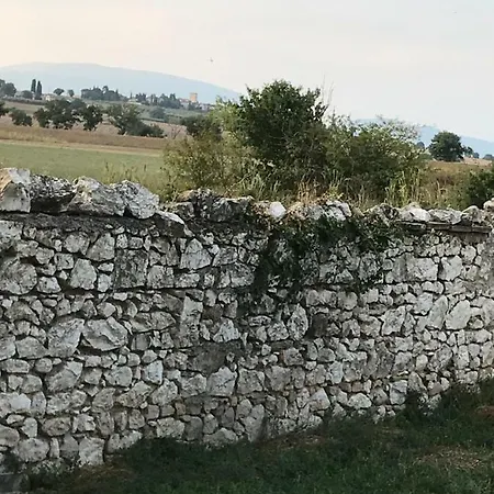 Lägenhet Casa Dora
